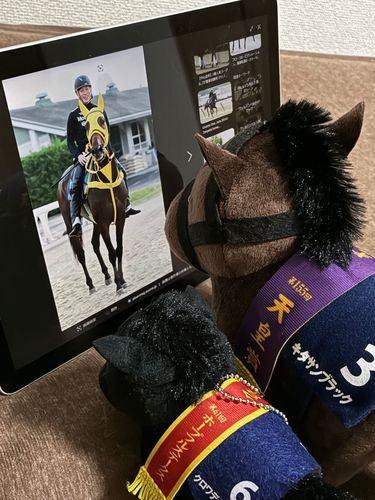 今日の23時35分からキタサンブラックの息子が走るから応援のために待機🐴
一緒に走ったもう一頭のキタサンブラックの子クロワデュノールも先輩の応援に駆けつけてくれました🏇