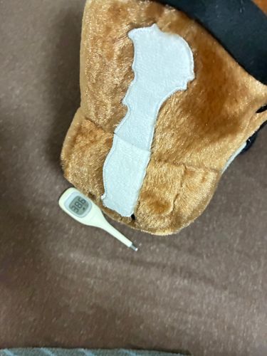 厩舎長熱出たみたいチェル...
チェルヴィニアとみんなで看病するチェル😭