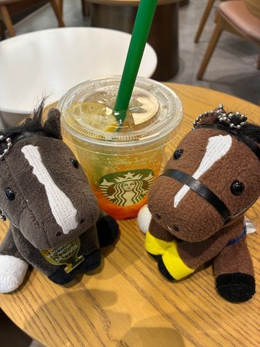 厩舎長熱が回復したからキタサンとイクイでスタバの新作を飲んだ🐴🐴