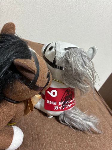 父〜見てシェケ〜
ﾋｬｯ！？
※厩舎コメント
横山武史騎手のご好意によりサインをいただいたものです
ウィナーズサークルというものがありますがサインを貰えることは貴重なので感謝を忘れずに今後も生きていく所存です。