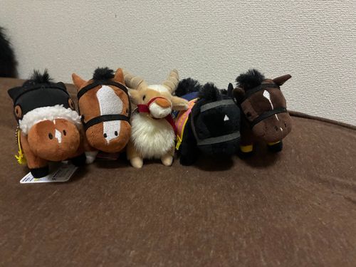 真ん中に新しい仲間が来たけど
君は馬なのかな🐴？
四足歩行だし草食べるし仲間か！