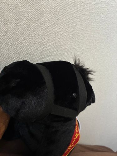 厩舎長暑いでふ〜💦
