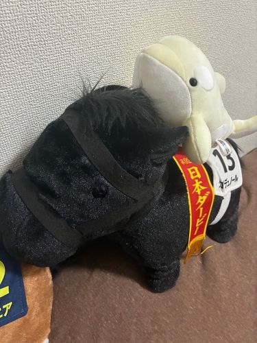 新しくお友達が増えたでふ〜
