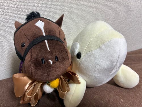 シャチさんこれが漢のおめかしだぜ✨😎
