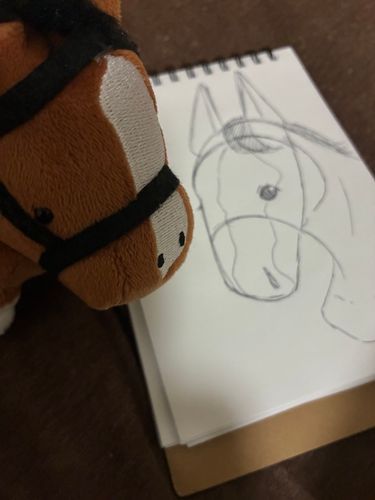 厩舎長があたちを描いてくれたみたい