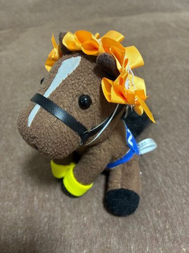 おめかししたよ🐴