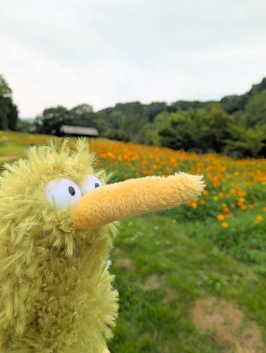 あつかった