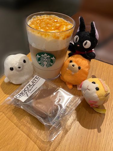 キャラメルマキアートとチョコマカロンだよ〜☺️