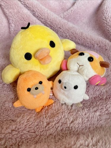 仲間が増えたヨ☺️
キイロイトリと、自走するポテト。