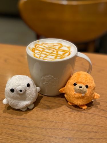 ほっと一息つきましょう〜☕️
