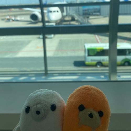 飛行機に乗って、どこ行くの〜？✈️