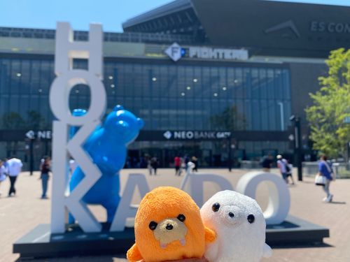 なんと‼️北海道だよ〜🐻‍❄️🐻‍
でっかい野球場‼️⚾️
