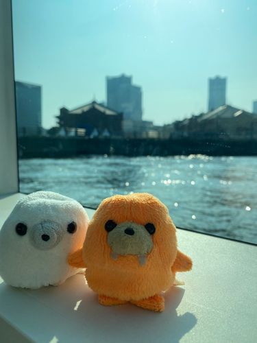 なんと、海の上を走るバス🚌