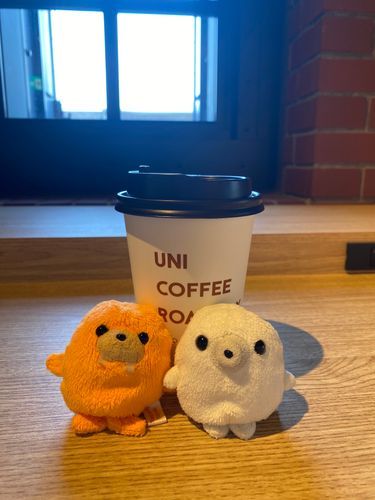涼しいカフェで、ﾏﾀｰﾘしよう