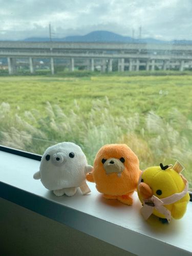 みんなで旅行ダヨ