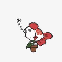 ハードゲイ