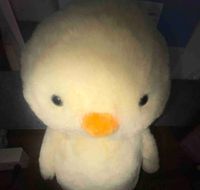 うさたまダッキー