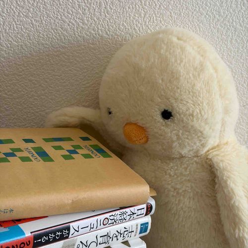 ああもう主はこんなに買っちゃって、、もう読んでないっぴよ、、？しかもマイナンバーの受け取りとOBランチダブルブッキングしちゃったって言ってたっぴ、、しゃーねーなっぴ。ダッキーの出番っぴね！✨)))ダッキースペシャルパワー発動((((✨