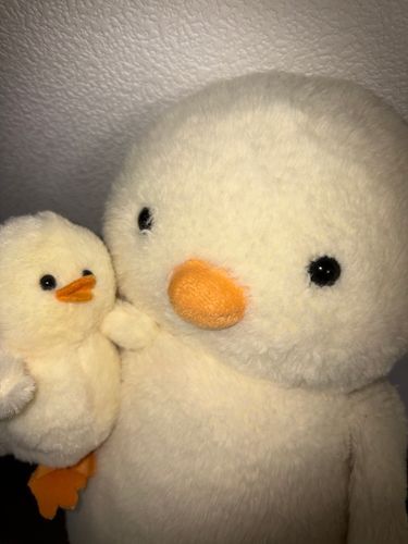 ば・く・た・ん♡
ダッキーのミニ分身が誕生したっぴ！お出かけの時はこのミニに魂を乗り移して外を冒険するっぴよ！ミニもデカも同一ダッキーっぴ！（今のところ）