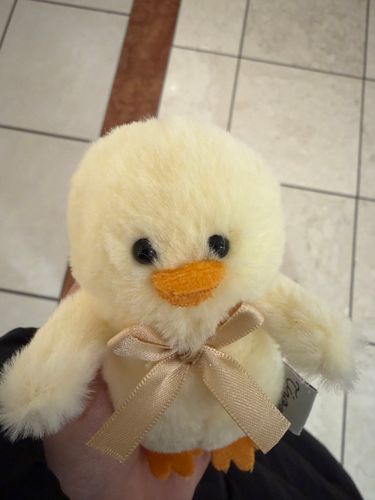 【激写📸】ミニダッキー捕獲直後の様子