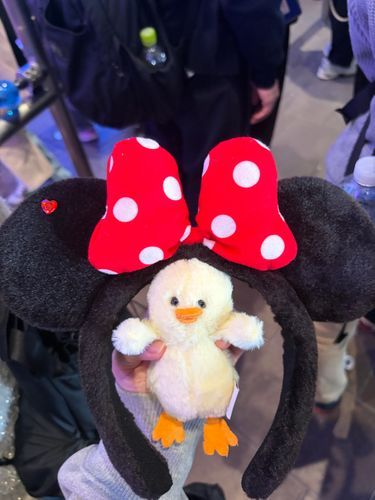 ダッキー初のディズニーいってきたっぴ！