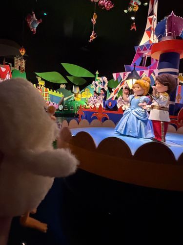 わあ！玉の輿だ！！、、ん？あれ？なんかダッキーの心が洗われていくっぴ✨disney magic発動✨素敵なプリンセスとプリンスっぴね♡