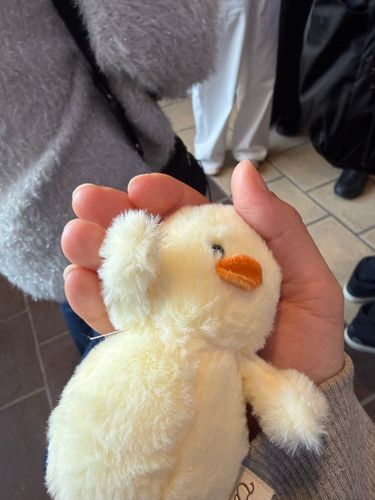 はい！ダッキーの主が新社会人になるっぴね。そこでダッキーを会社に持っていいと思う人！挙手おねがいするっぴ！あ、これ脇毛生えてる写真っぴ！ちょっと主！写真差し替えてっぴ！！