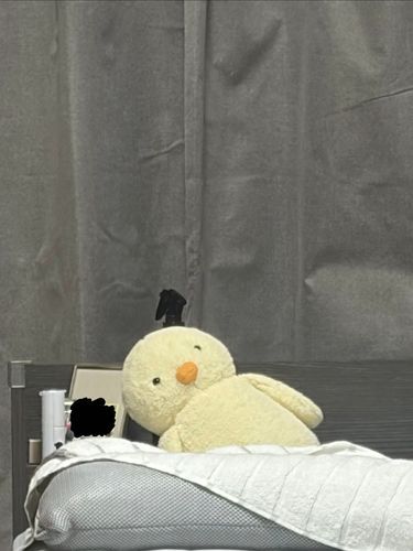 遠くからズームっぴ