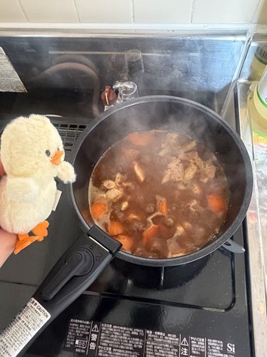 だっきーの主が人生で初めてカレー作ったっぴ！箱入り娘の自立っぴね
