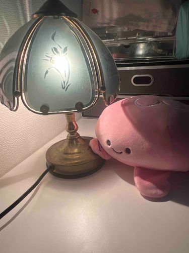 勉強するときは電気をつけなさいと言っているでしょう。
