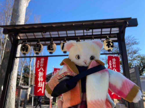 近所の神社へお参り