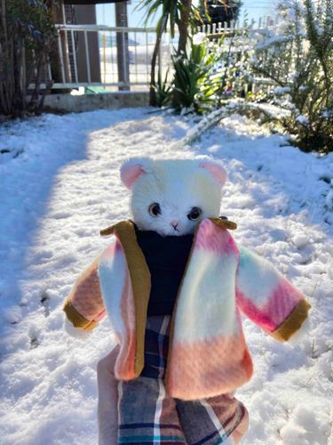 雪だ！⛄️
寒い！🥶