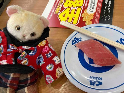 お寿司！🍣
マグロが沢山流れてくるよ！
お魚大好き！