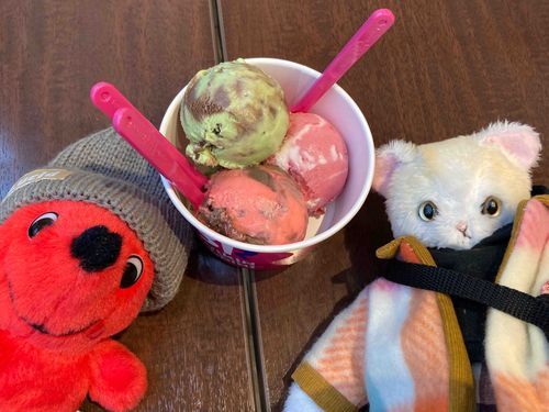 チーバくんと一緒にお出かけ
サーティワンアイスを食べたよ🍨
３つとも期間限定の味
メルティストロベリーチョコレートが1番美味しかったかも😋