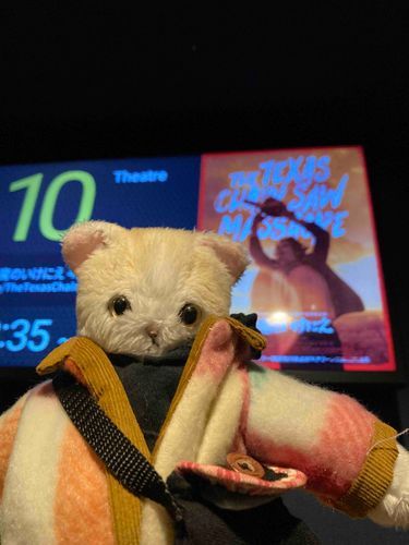 今度はホラー映画を見るんだって
僕は見たくないから、寝てるよ💤