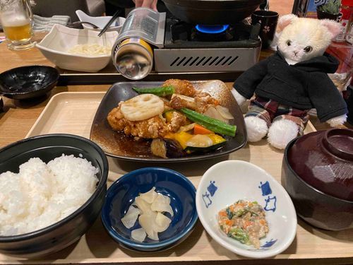 今日はおねーさんに付き合ってあげたから、美味しいものをご馳走してもらったよ😋
ご飯が美味しいから、今日は良い1日だったな😽