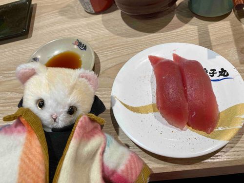 お寿司屋さん🍣
最初はまぐろを頼んじゃう