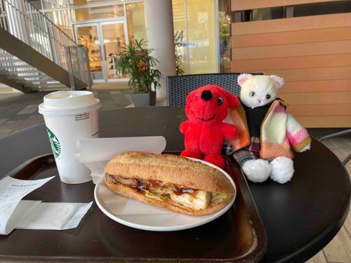 お外の席でコーヒーブレイク☕️
今日は暖かいからお外でご飯を食べるのが気持ちいいな