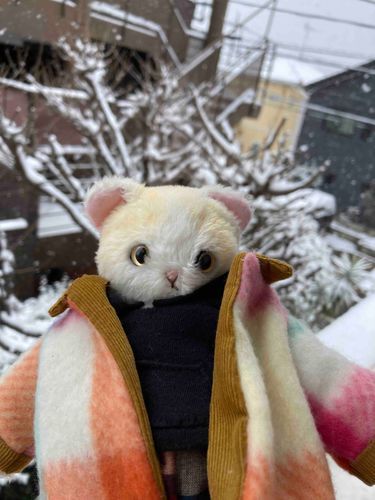 雪だ！☃️
沢山降ってる！