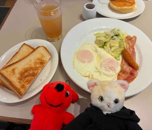 デニーズに朝ごはんを食べに来たよ
美味しいご飯で今日も1日元気に過ごせそう😊