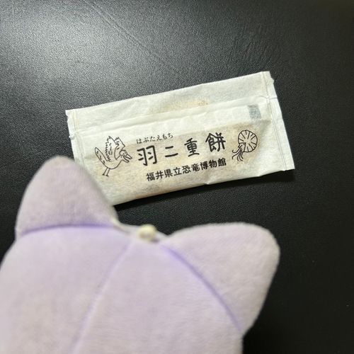 ひらべったいもちもち