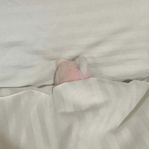 💭…………(まだねるの…)