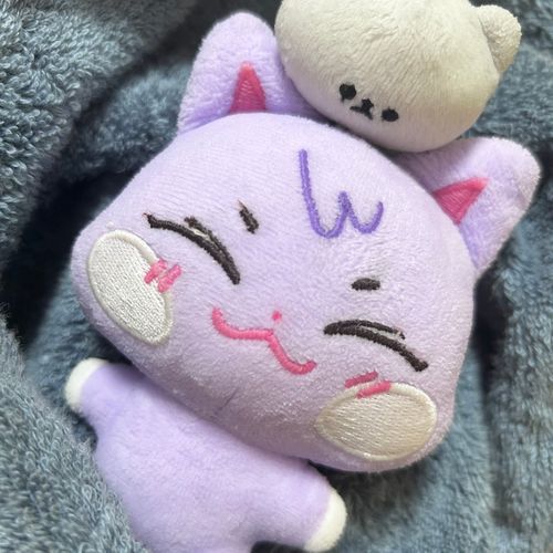 🐈さっぱりですに！
🐱めりちゃんおふろきらい…