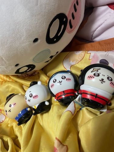 かいぬしがこんぷしたぞ！！！