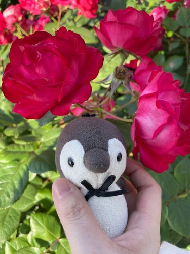 ぼくもみっちーのろーずがーでんになれますか🌹