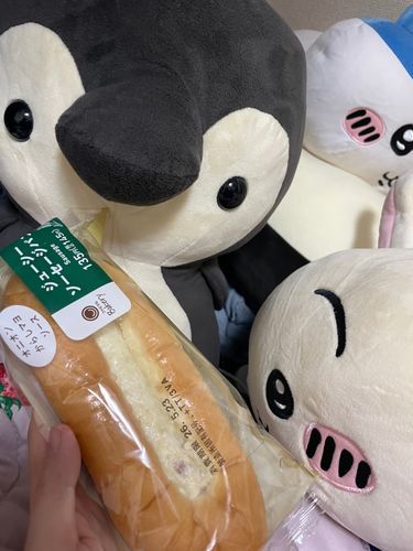 ほっとどっぐにまよかけたやつだよね？ってずっとかいぬしにきかれてるんだけど
よいすぎ
