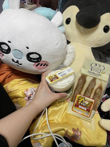 みんなおはよー
かいぬしはこれたべてねるんだって
ゆめはでっかく、ざんぎょうはちっちゃく？それはそう！！