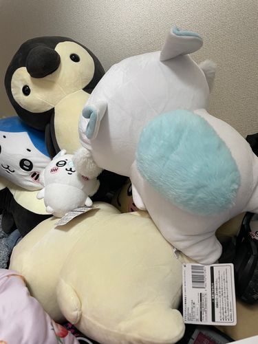 ねてるやつをよじのぼってたのばれておこられるちょくぜん