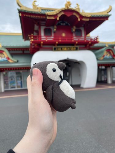 りゅうぐうじょうきた