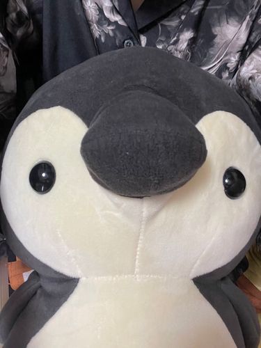 かいぬしもぼくもきのういっぱいおそとであそんだからきょうはおうちでごろごろ